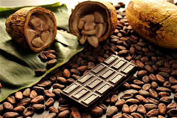 Coffee Cocoa Beans and Rice